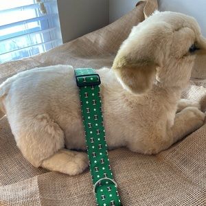 Large Dog Collar Football